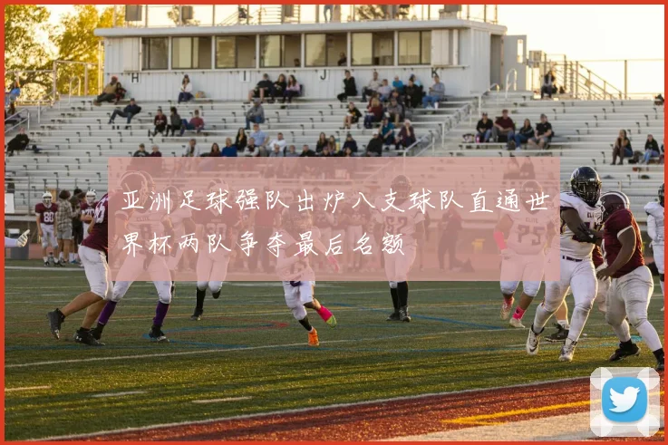 亚洲足球强队出炉八支球队直通世界杯两队争夺最后名额