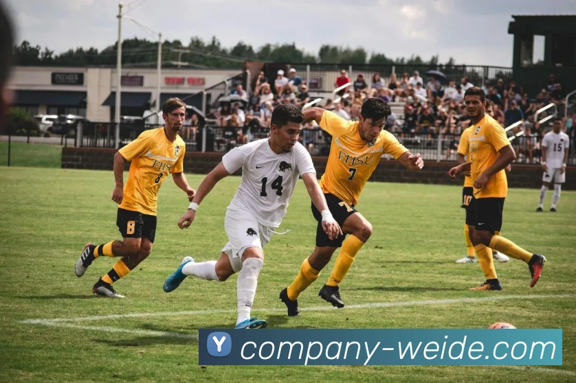 伟德体育发展历程